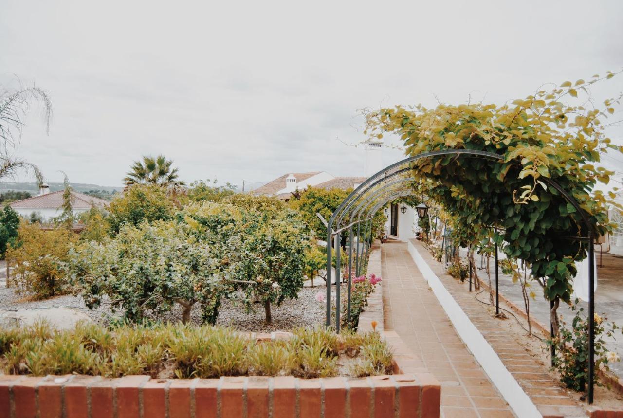 Вилла Quinta De Sao Pedro De Томар Экстерьер фото