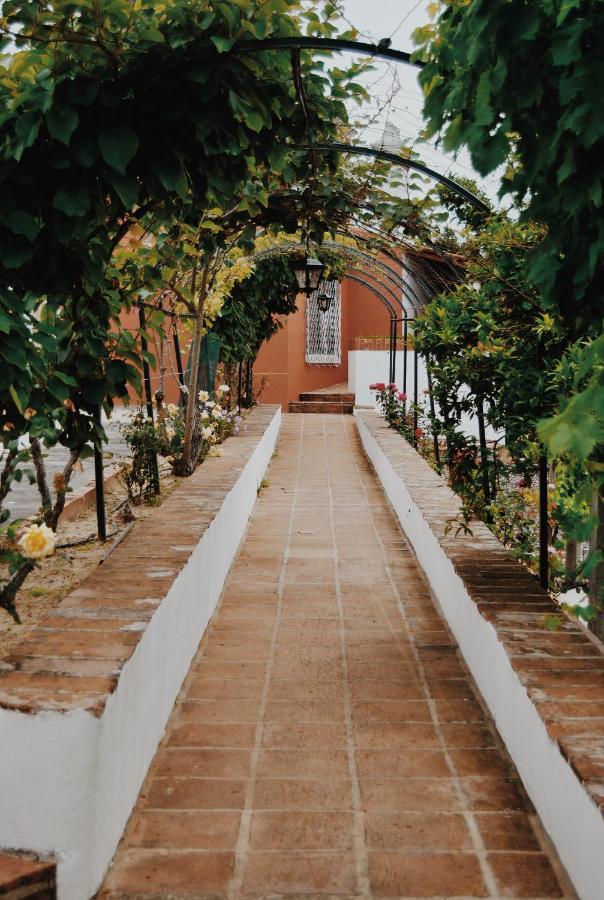 Вилла Quinta De Sao Pedro De Томар Экстерьер фото