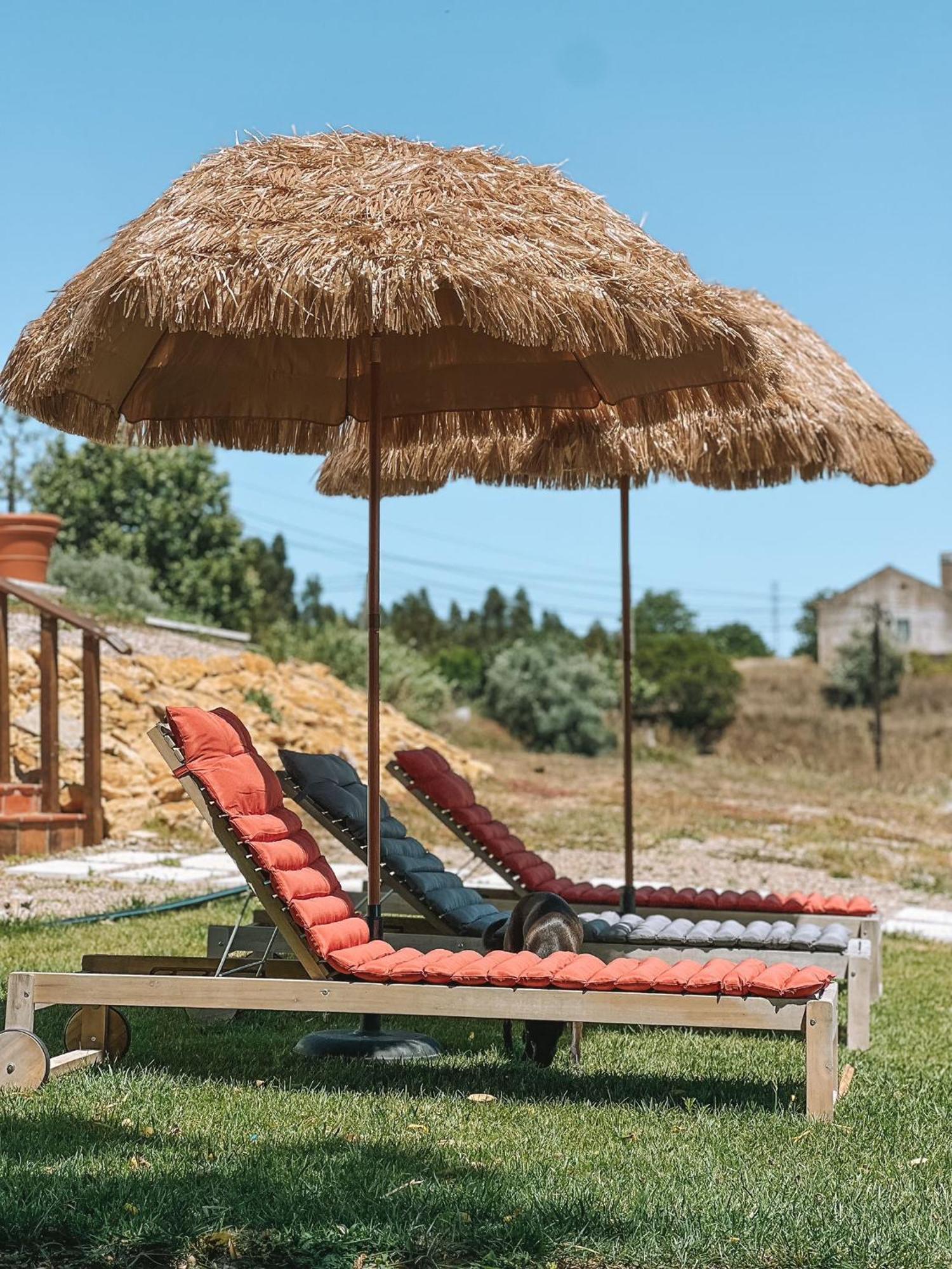 Вилла Quinta De Sao Pedro De Томар Экстерьер фото