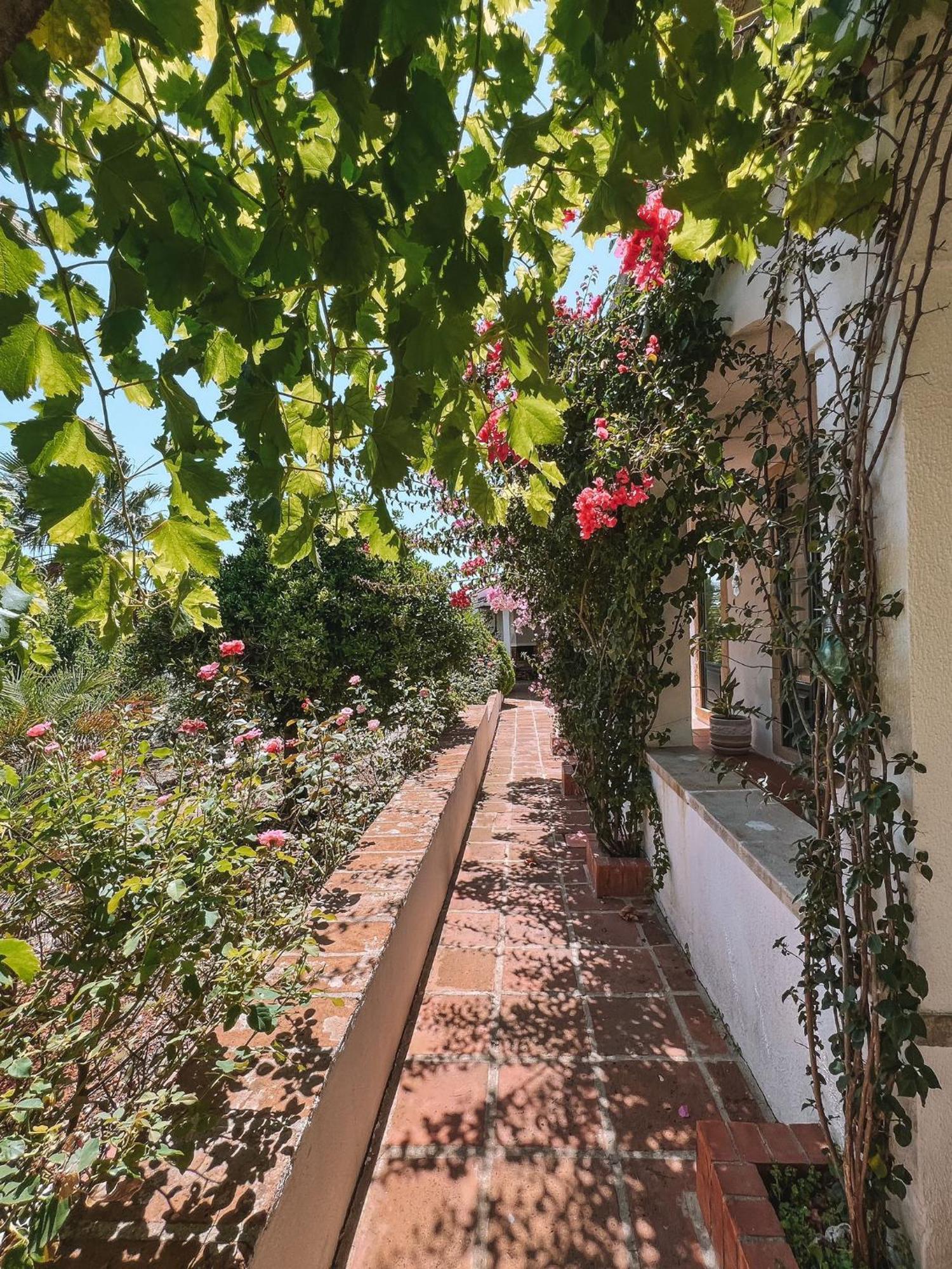 Вилла Quinta De Sao Pedro De Томар Экстерьер фото